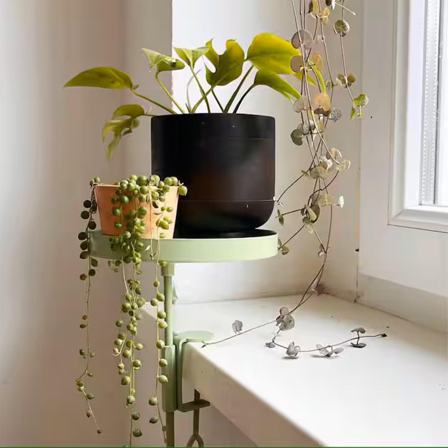 Duomo Studio Флоренция Екстериор снимка